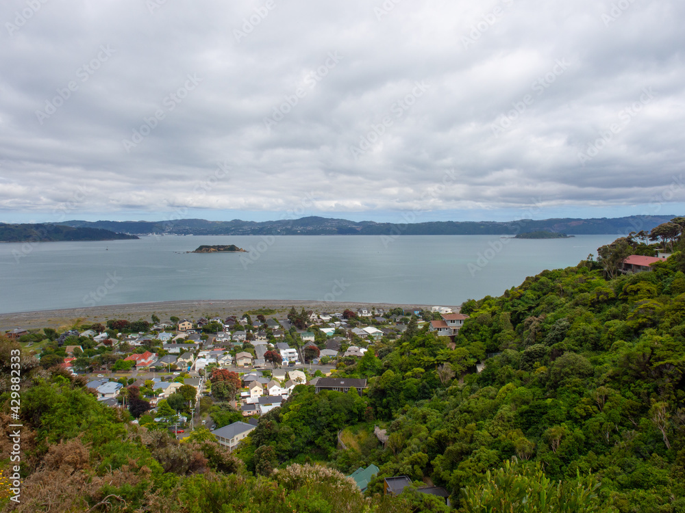 Eastbourne And Wellington Harbour