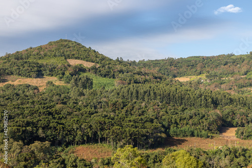 Farm fields, forest and mountains