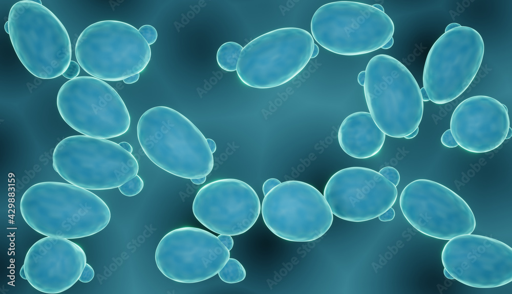 Sacharomyces yeast, probiotic fungi close-up (sacharomyces cerevisiae)