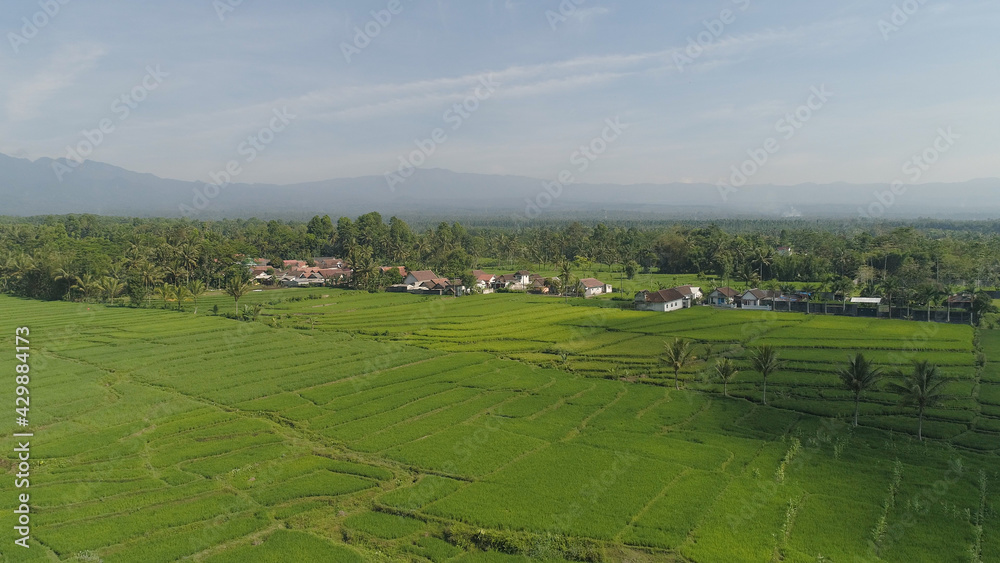 Rural landscape in asia village among rice fields agricultural land, mountains in countryside. aerial view farmland with agricultural crops in rural areas Java Indonesia