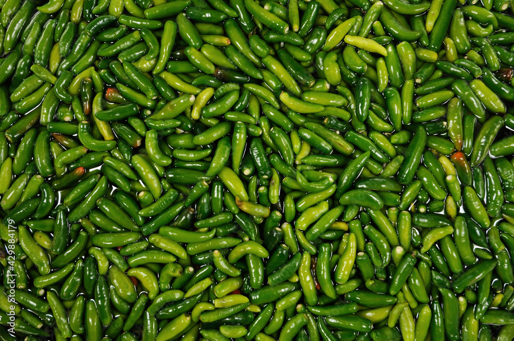 chiles serranos para salsa verde chiles serranos para salsa verde