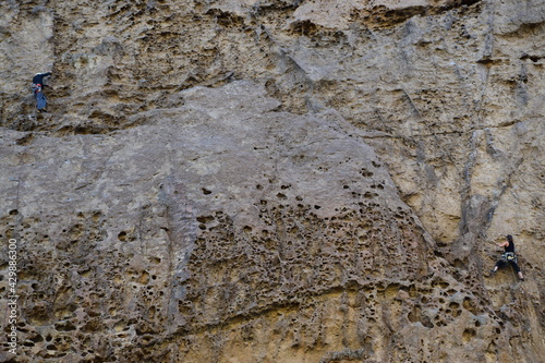 Piedras con poros, parecidos a huesos (Patagonia)