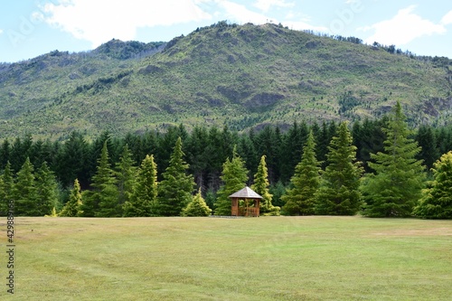 Pequeño refugio en el bosque (patagonia)