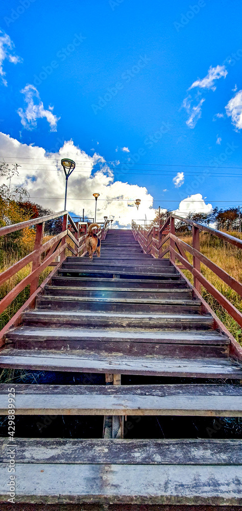 custom made wallpaper toronto digitalold  wooden  staircase  with  view  of  a  sky  with  clouds