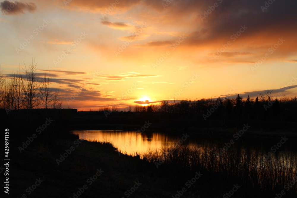 Sunset On The Lake, Pylypow Wetlands, Edmonton, Alberta Sunset On The Lake, Pylypow Wetlands, Edmonton, Alberta