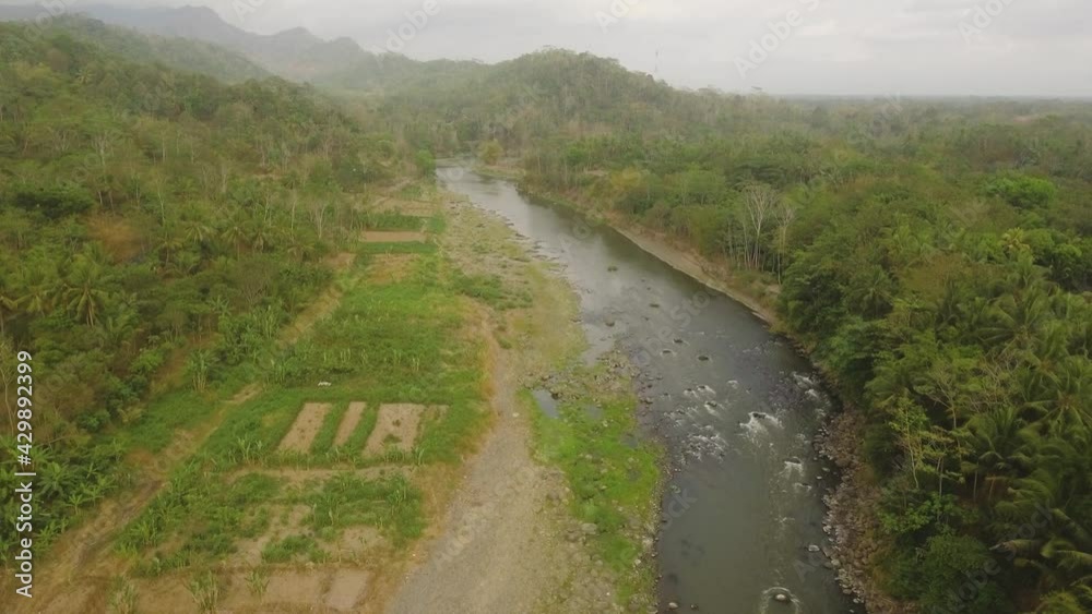 river in asia among palm trees, farmland and jungle. aerial view river in tropics flowing among farmlands with growing crops, tropical forest. rural landscape in Asia farmlands, fields with crops river in asia among palm trees, farmland and jungle. aerial view river in tropics flowing among farmlands with growing crops, tropical forest. rural landscape in Asia farmlands, fields with crops