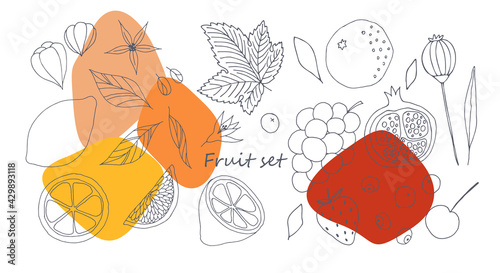 Fruits: lemon, orange, grape, pomegranate, cherry, strawberry. Vector set of contour drawings