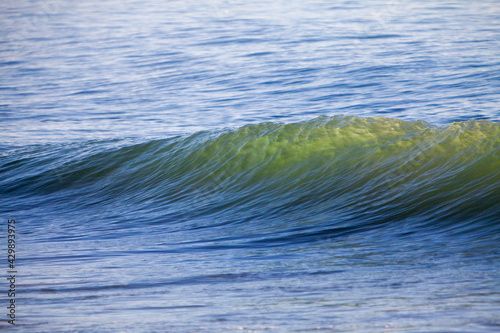 green wave on the beach