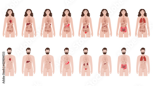 Pain in human body