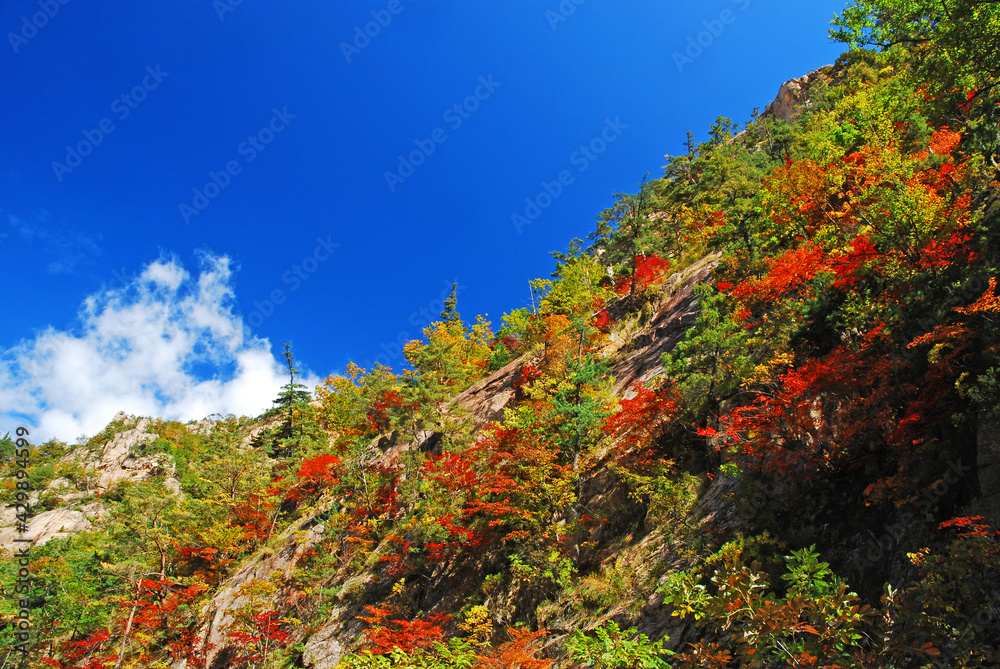 설악산 국립공원의 가을풍경