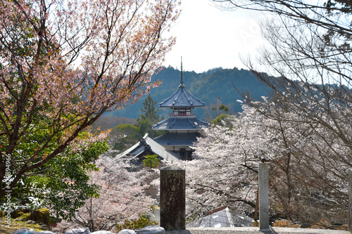 金峯山寺から見た吉野朝宮跡 photo