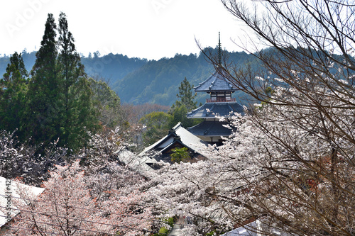 金峯山寺から見た吉野朝宮跡 photo