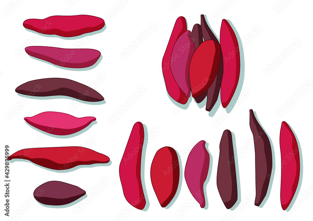 sweet potato on white background illustration vector sweet potato on white background illustration vector