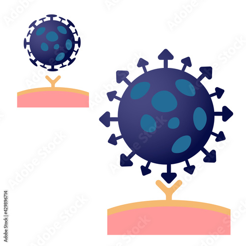 Conventional coronavirus and highly infectious coronavirus