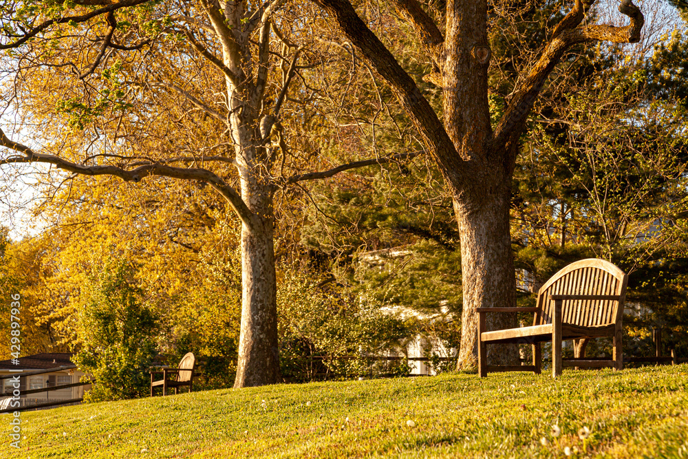 A prime location with an empty wooden bench under trees with autumn colors at sunset. A senior housing complex themed image with great views of park plants. Residents watch sunset from the benches. A prime location with an empty wooden bench under trees with autumn colors at sunset. A senior housing complex themed image with great views of park plants. Residents watch sunset from the benches.