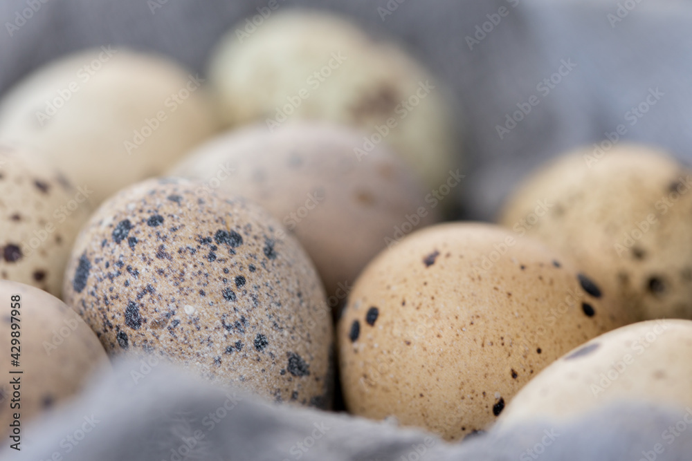 Still life of quail eggs. Close-up. Rustic. Easter celebration concept. Still life of quail eggs. Close-up. Rustic. Easter celebration concept.