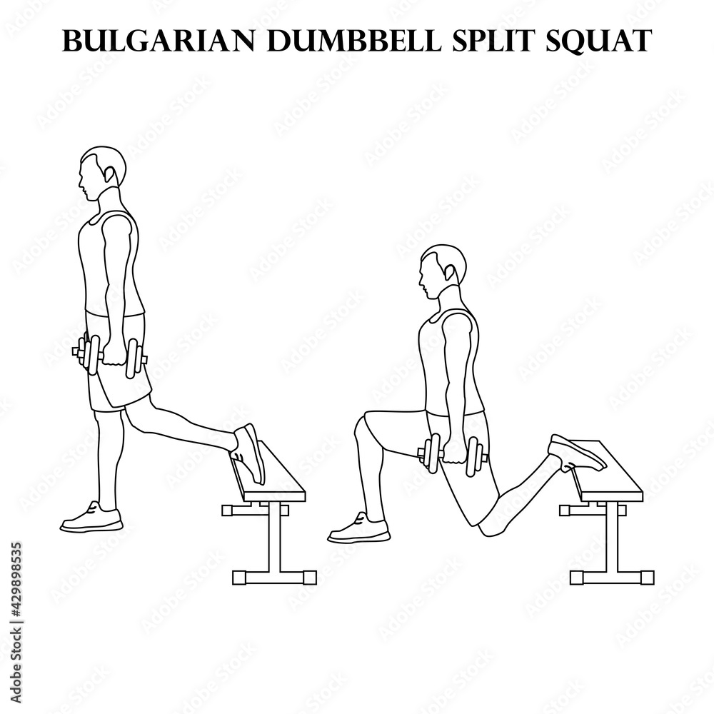 Bulgarian dumbbell split squat exercise strength workout vector illustration outline