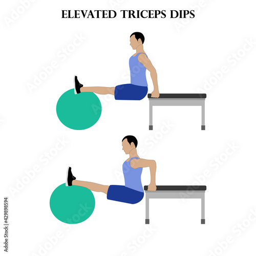 Elevated triceps dips exercise strength workout illustration