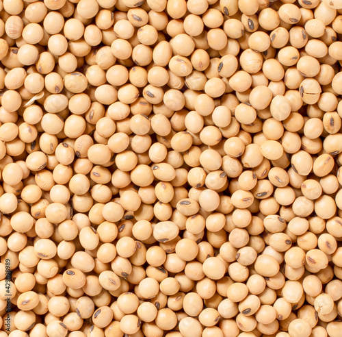 Soybean organic isolated on  background
