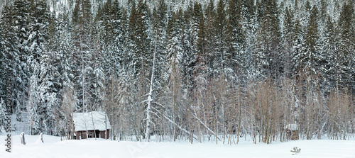 Cabin in the Snow