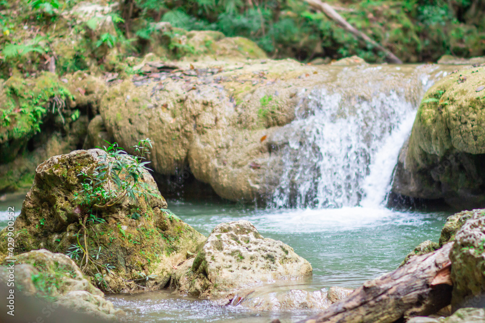 Naklejka premium río de montaña con una pequeña cascada Hermoso y panorámico paisaje de bosque profundo en república dominicana, río salto socoa