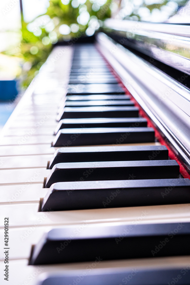 piano, keyboard piano, side view of instrument musical tool,Piano keyboard background with selective focus,piano keys on black piano. piano, keyboard piano, side view of instrument musical tool,Piano keyboard background with selective focus,piano keys on black piano.