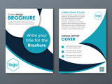 poster flyer pamphlet brochure cover design layout background, vector illustration template