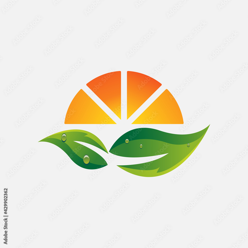 orange juice logo design template. fruit logo. orange and fruit illustration vector orange juice logo design template. fruit logo. orange and fruit illustration vector