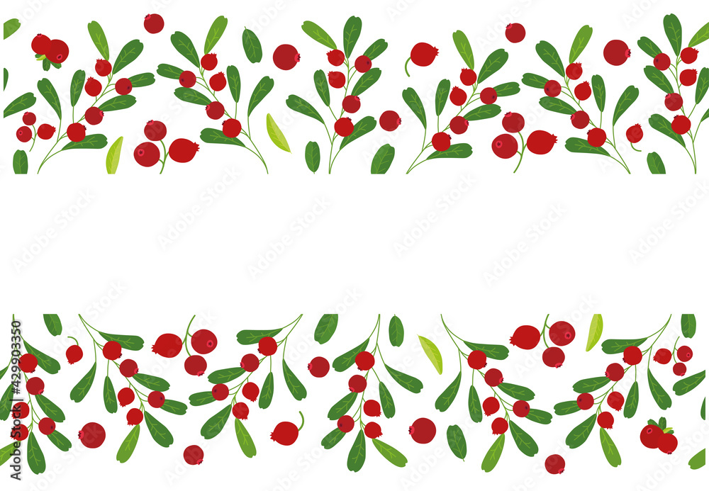 custom made wallpaper toronto digitalseamless border frame background cranberry. Vector illustration. Background design cranberry for juice, tea, bakery with berry filling, farmers market, grocery ,health care products.