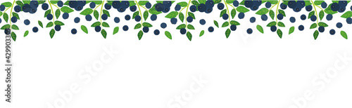Vector blueberry seamless horizontal border. Background design for natural cosmetics,sweets and pasties filled with berry, food, grocery ,health care products. Best for packaging and web design