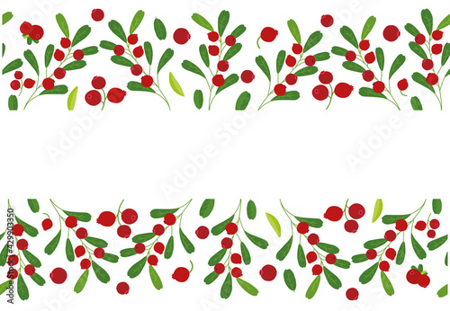 seamless border frame background cranberry. Vector illustration. Background design cranberry  for juice, tea, bakery with berry filling, farmers market, grocery ,health care products. 
