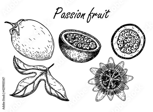 Passion fruit vector drawing set. Sketch passionfruit with slices. Hand drawn tropical food illustration. Engraved summer passionfruit objects. Whole and sliced maracuya. Botanical vintage sketch.