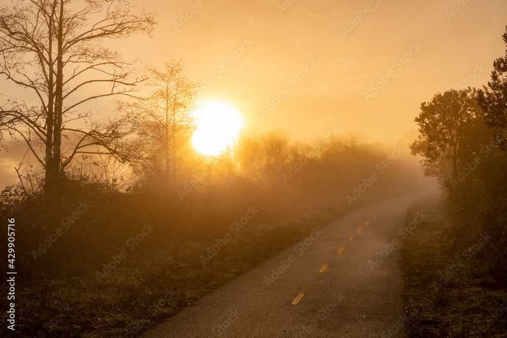 Path to Glory in the Marsh in arcata