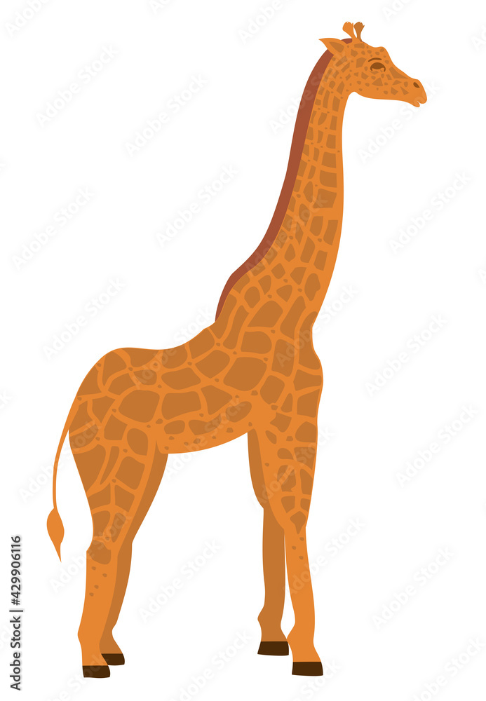 Giraffe in flat style. Vector illustration isolated on the white background. African animals. Wild animal vector. Giraffe icon Giraffe in flat style. Vector illustration isolated on the white background. African animals. Wild animal vector. Giraffe icon