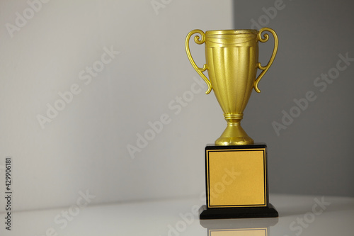 golden trophy on the white gray background