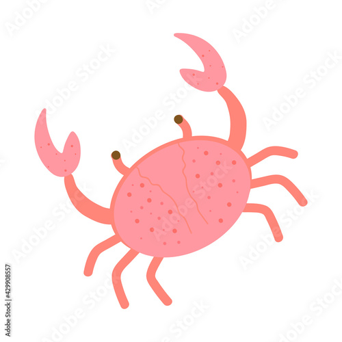 Crab. Isolated on white background. Vector illustration.