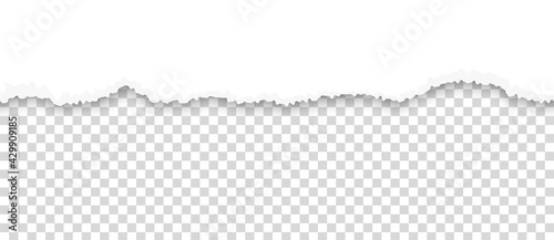 Torn paper. Ripped sheet edge on transparent background. Page with horizontal rough divider line. White tattered cardboard piece. Blank document fragment. Vector grunge border design