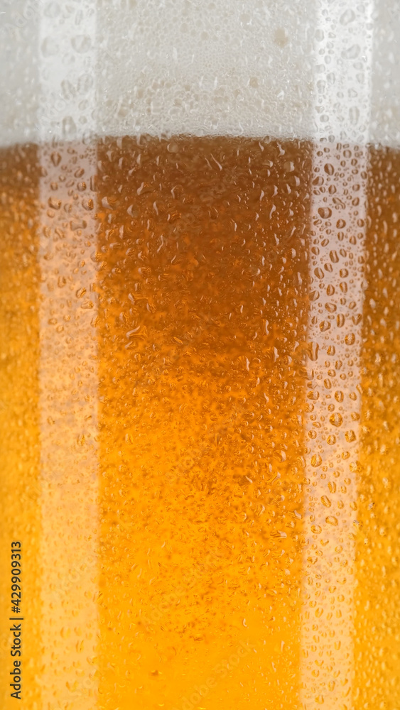 glass of beer with foam on white background, close up glass of beer with foam on white background, close up