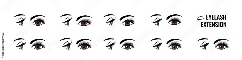 Eyelash extension. False lash shape for doll look. Eye style infographic.  Makeup tutorial. Lengthening mascara effect. Salon beauty procedure. Vector  front and side view of female face Stock Vector | Adobe Stock