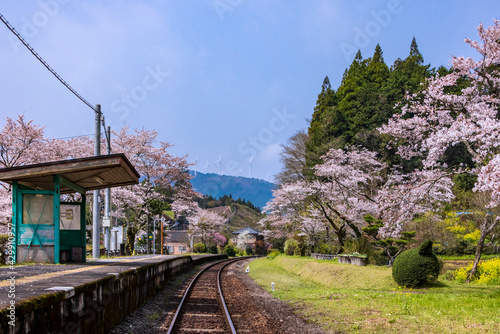 JR久大本線北山田駅と桜