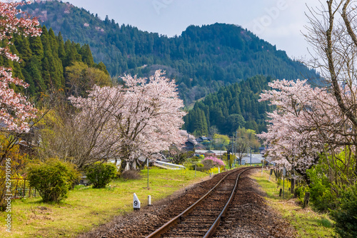 JR久大本線北山田駅と桜