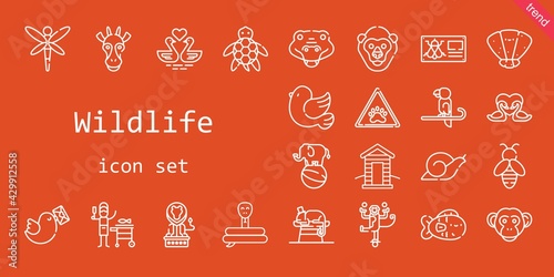 wildlife icon set. line icon style. wildlife related icons such as pigeon, snail, crocodile, gorilla, bee, monkey, chameleon, turtle, seashell, paw, snake, cabin, swans, lion, dragonfly, bug