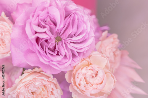 Fototapeta Naklejka Na Ścianę i Meble -  Light purple, pink, peach colour, white cute delicate small roses of different sizes in a flower bouquet. Macro
