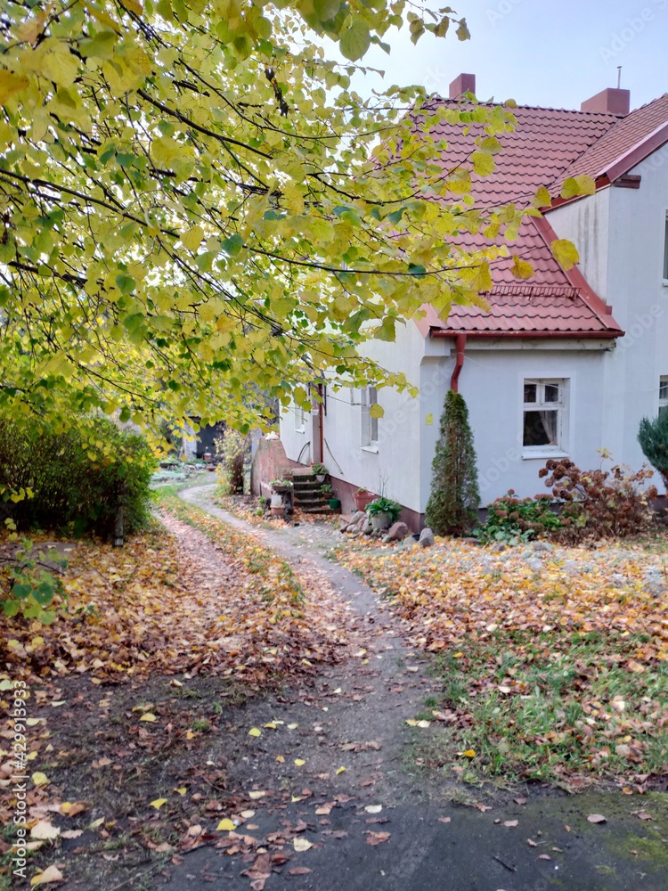 Fall in a cozy village Fall in a cozy village