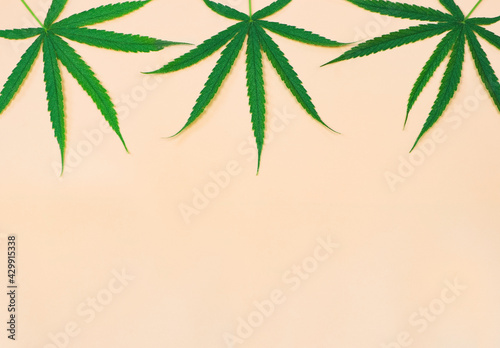 flat lay of three marijuana leaves on beige background.