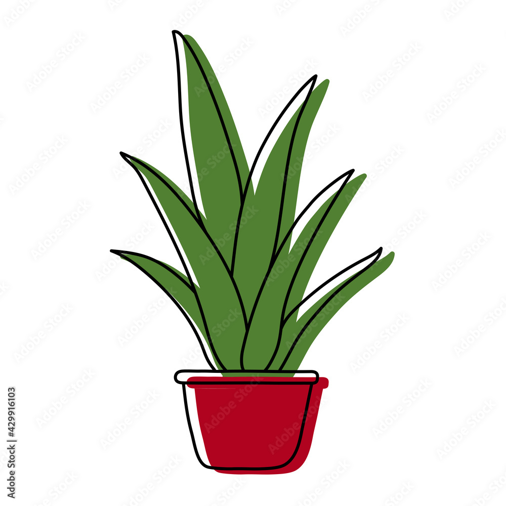 Indoor Scarlet Potted Sketch. Vector flower in a pot. Doodle color illustration of a plant. Cartoon drawing Indoor Scarlet Potted Sketch. Vector flower in a pot. Doodle color illustration of a plant. Cartoon drawing