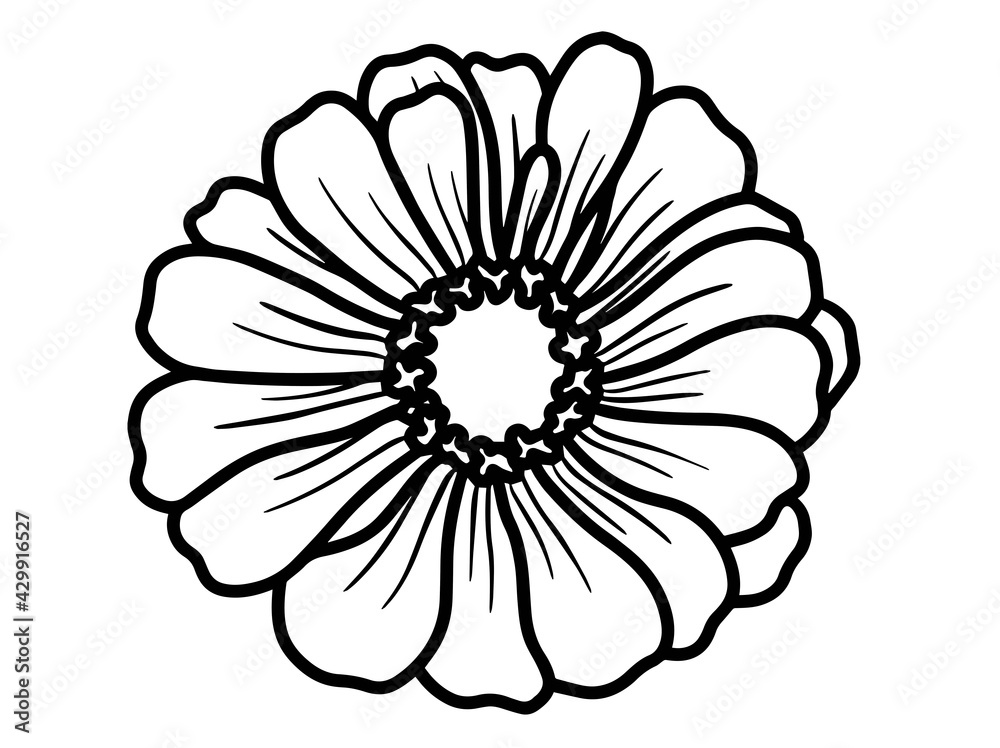 Hand drawing and sketch flower with line art illustration.