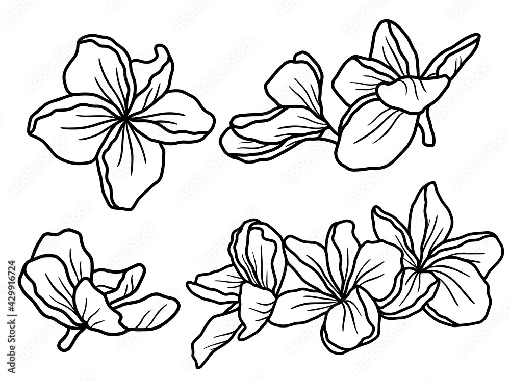 Hand drawing and sketch flower with line art illustration. Hand drawing and sketch flower with line art illustration.