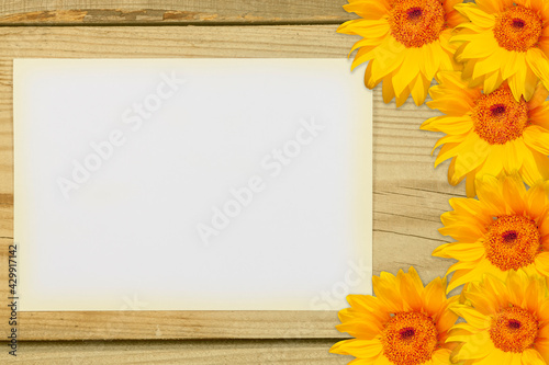 A template with a white background for text surrounded by yellow flowers. All on a wooden background.