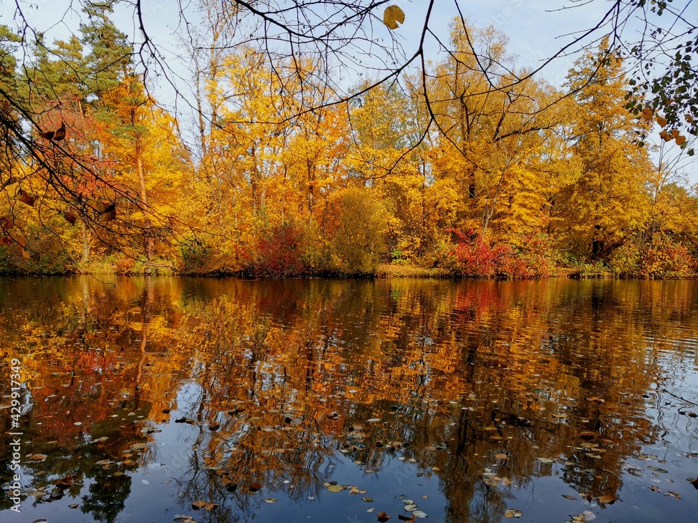 Obraz premium autumn trees reflected in water